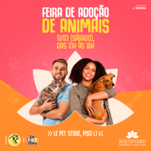Feira de Adoção de Animais