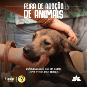 Feira de adoção de animais – 25/05 Feira de adoção de animais – 25/05