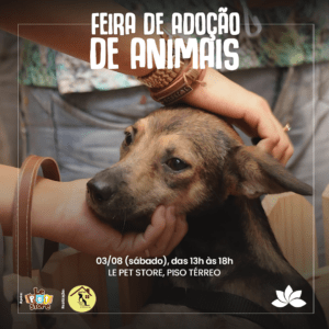 Feira de Adoção de Animais – 03/08 Feira de Adoção de Animais – 03/08