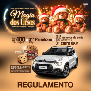 REGULAMENTOS DA CAMPANHA – NATAL MAGIA DOS URSOS